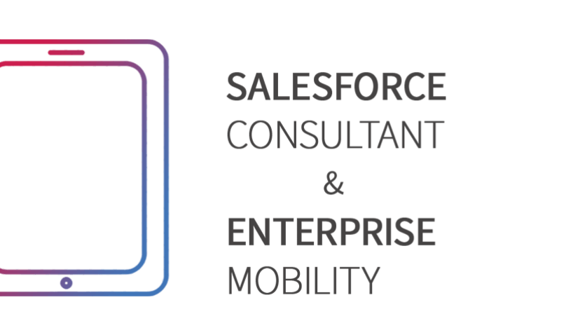 Salesforce Consultant Salesforce Consultant